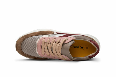 XSensible Ponte Vecchio Carmel Combi