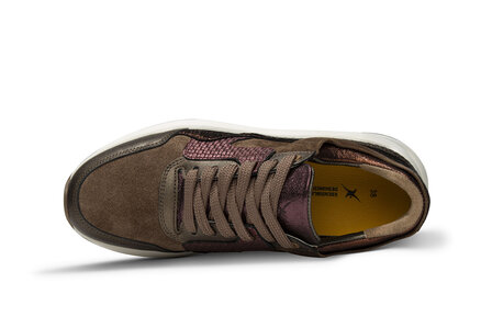 XSensible Golden Gate Lady Bronze Combi