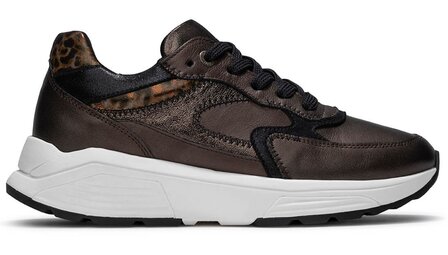 XSensible Ponte Vecchio Brown Fantasy 