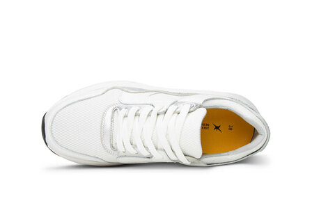 XSensible Golden Gate White Combi 