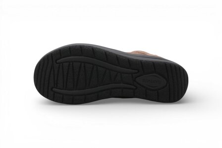 Hartjes DIA: Van Upper Dia Leest Laag Schlamm-Stone