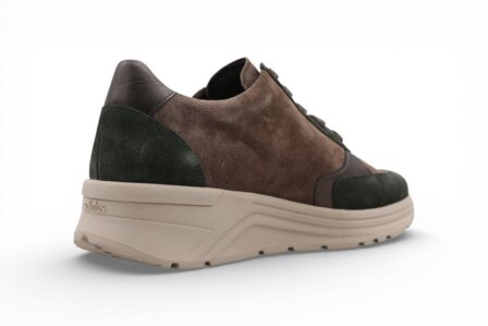 Solidus Holly H caccia multi