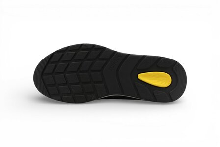 Solidus Kitty ALA/Sud