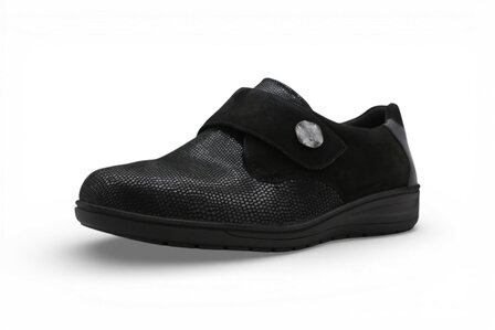 Solidus Kate Schwarz