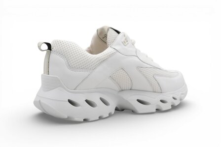 Durea limited edition sneaker wit/wit