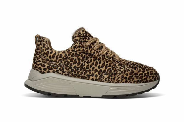 XSensible Leopard