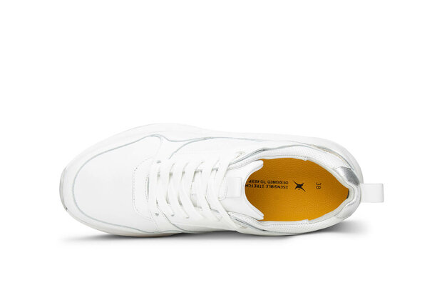 XSensible Newport White 