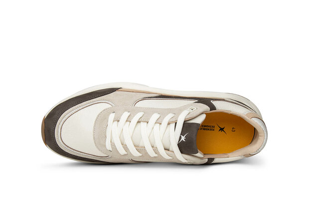 XSensible Manhattan Carbon Combi