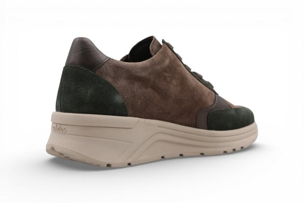 Solidus Holly H caccia multi