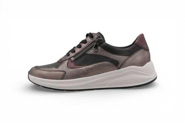 Solidus Kitty ALA/Sud