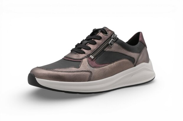 Solidus Kitty ALA/Sud