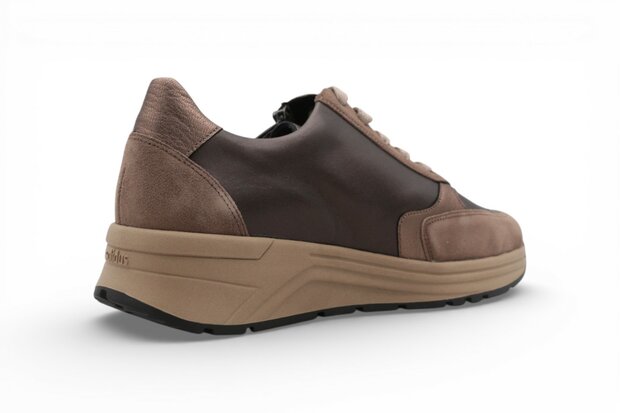 Solidus Karma Vel/Hilton/Mok