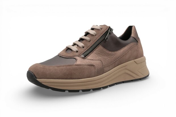 Solidus Karma Vel/Hilton/Mok