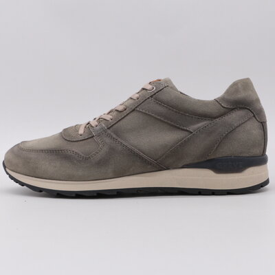 Greve  Fury Salvia Marino 