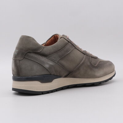 Greve  Fury Salvia Marino 