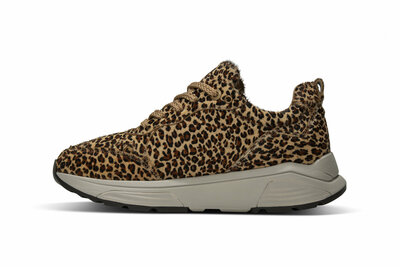 XSensible Leopard