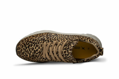 XSensible Leopard