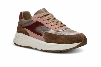 XSensible Ponte Vecchio Carmel Combi