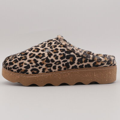 Rohde Foggia-D Ginger