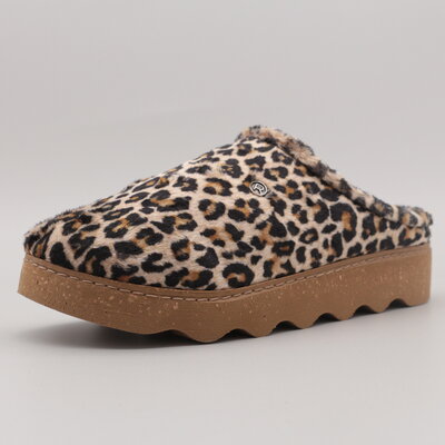 Rohde Foggia-D Ginger