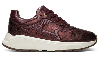 XSensible Ponte Vecchio Bordeaux