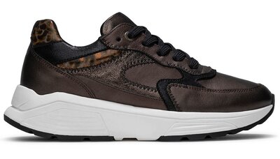 XSensible Ponte Vecchio Brown Fantasy 