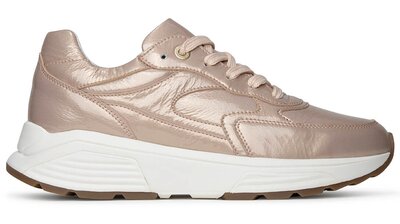 XSensible Ponte Vecchio Soft Coral