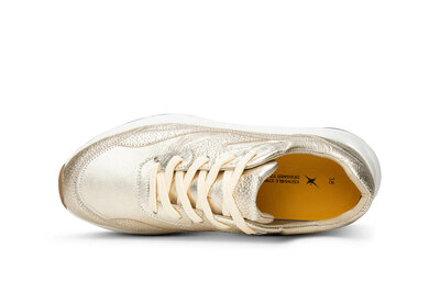 XSensible Liberty Gold