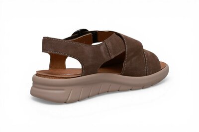 Hartjes Calypso Stone