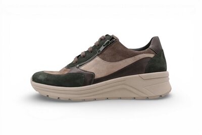 Solidus Holly H caccia multi