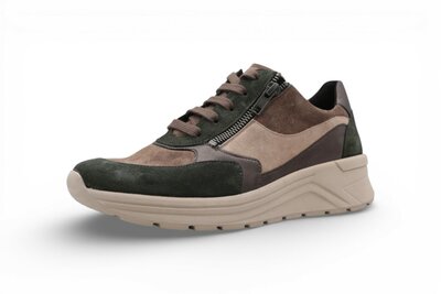 Solidus Holly H caccia multi