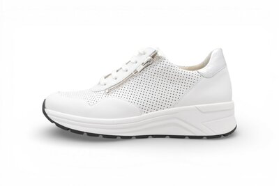 Solidus Karma Wit/Silver 