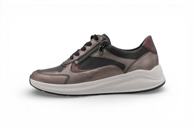 Solidus Kitty ALA/Sud