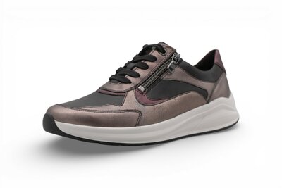 Solidus Kitty ALA/Sud