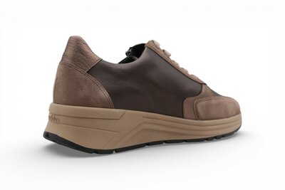 Solidus Karma Vel/Hilton/Mok