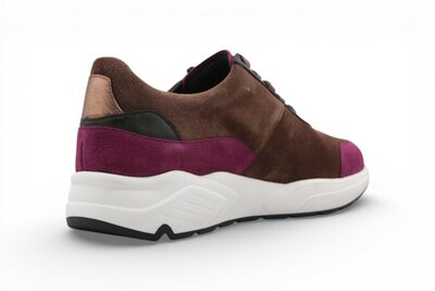 Solidus Kea berry multi