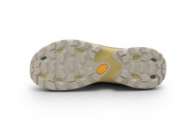 Merrell Moab Speed 2 GTX Cairn